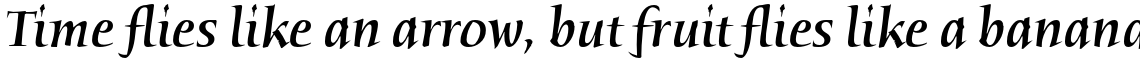 ITC Humana Serif Pro Medium Italic