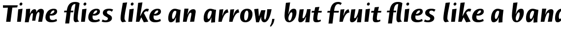 ITC Humana Sans Pro Bold Italic