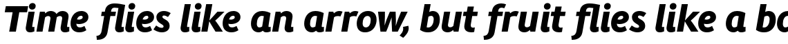 ITC Migration Sans Std Black Italic