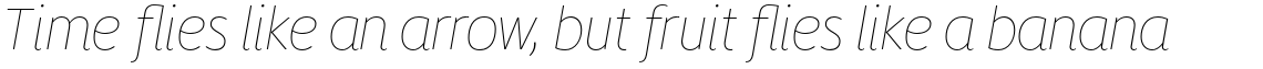 ITC Migration Sans Std Thin Italic
