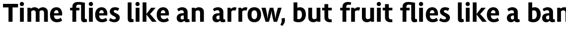 ITC Migration Sans Std Bold