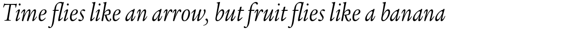 ITC Legacy Serif Pro Book Condensed Italic