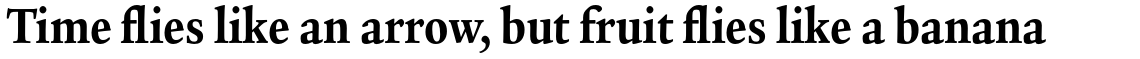 ITC Legacy Serif Pro Ultra Condensed