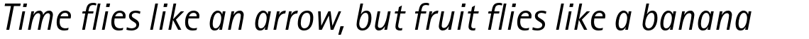 Rotis Sans Serif Pro 56 Cyrillic Italic