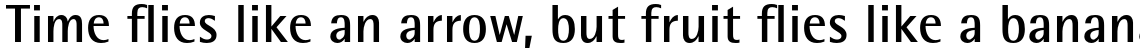 Rotis Pro 65 Cyrillic Bold