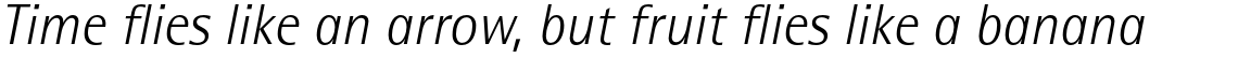 Rotis Pro 46 Greek Light Italic