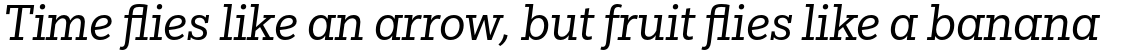 Egyptian Slate Pro Book Italic