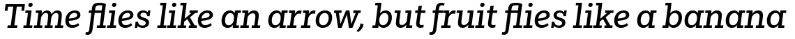 Egyptian Slate Pro Italic
