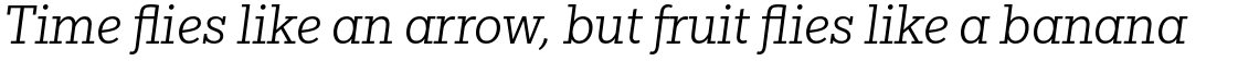 Egyptian Slate Pro Light Italic