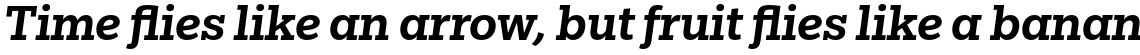 Egyptian Slate Pro Medium Italic