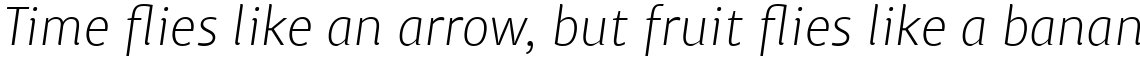 ITC Chino Pro Light Italic