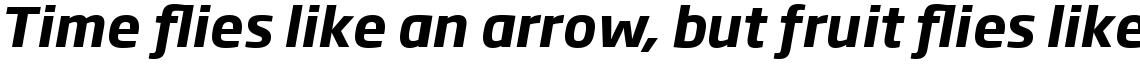 Soho Gothic Pro Bold Italic