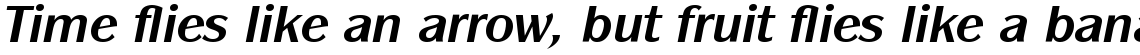 ITC Panache Com Bold Italic