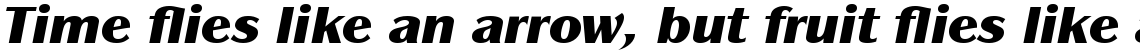 ITC Panache Com Black Italic