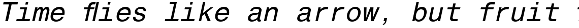 Helvetica Monospaced Pro Italic