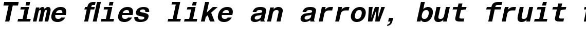 Helvetica Monospaced Pro Bold Italic