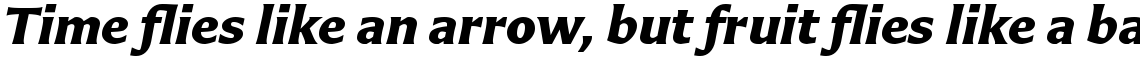 Carter Sans Pro Bold Italic
