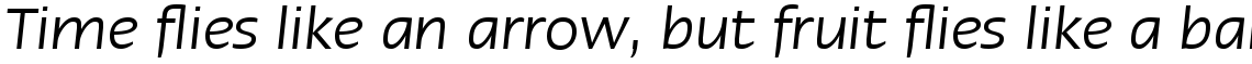 Linotype Ergo Std Hebrew Italic