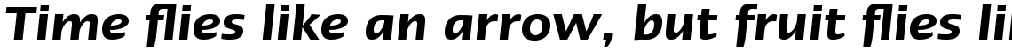 Linotype Ergo Std Hebrew Demi Italic