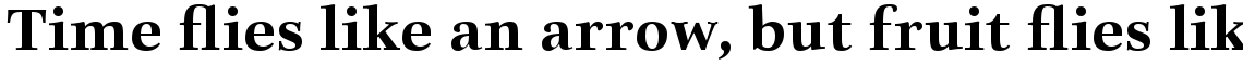 Really No 2 Hebrew Bold