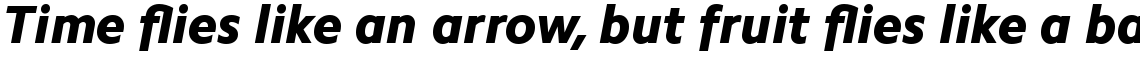 Camphor Pro HeavyItalic