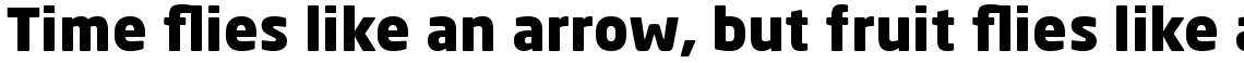 Neo Sans Arabic Black