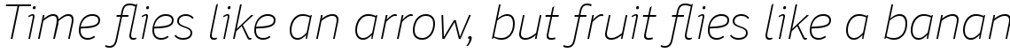 Felbridge Pro Thin Italic