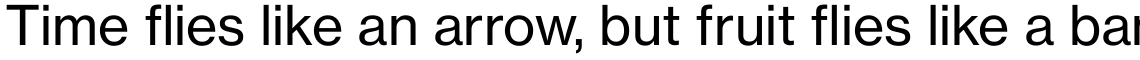 Neue Haas Grotesk Pro Text 55 Roman