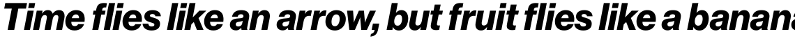 Neue Haas Grotesk Pro Display 76 Bold Italic