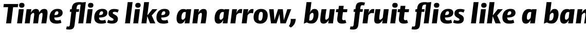 Vesta Pro Black Italic