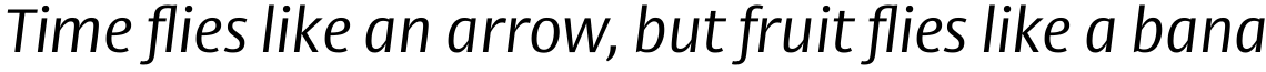 Big Vesta Pro Light Italic