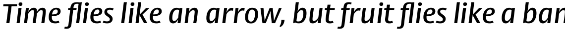 Big Vesta Pro Medium Italic