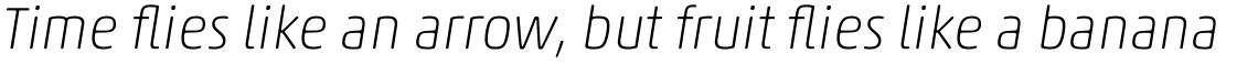 Akko Pro Rounded Thin Italic