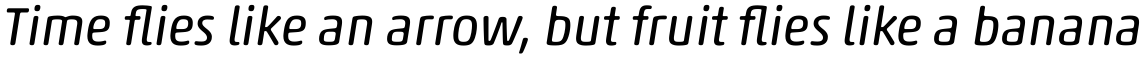 Akko Pro Rounded Italic