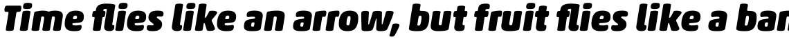 Akko Pro Rounded Black Italic