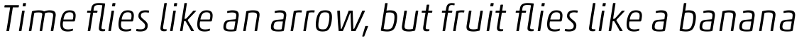 Akko Pro Light Italic