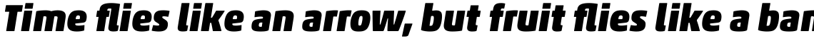 Akko Pro Black Italic