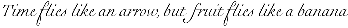 Rameau Pro Light Italic