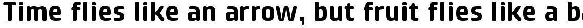 Klint Pro Rounded Bold