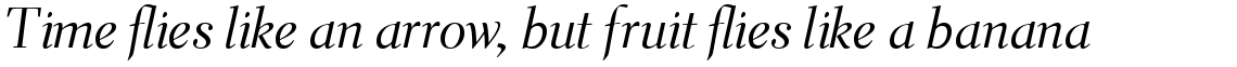 Parkinson Electra Pro TTF Italic