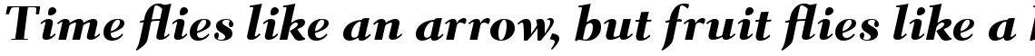 Parkinson Electra Pro TTF Heavy Italic