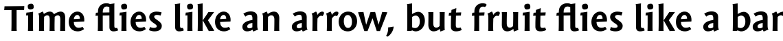 Mantika Sans Pro Bold
