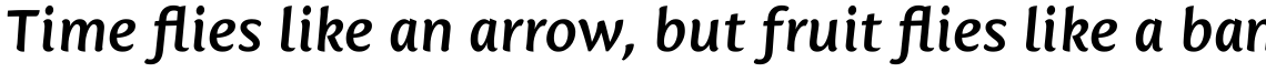 Mantika Sans Pro Bold Italic