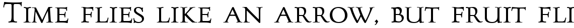 Goudy Pro Forum