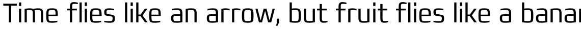 Francker Pro Condensed Light