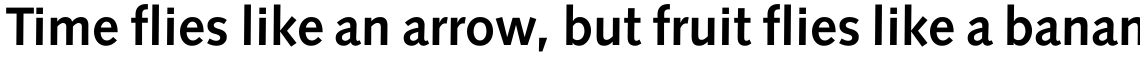 Badiya Bold