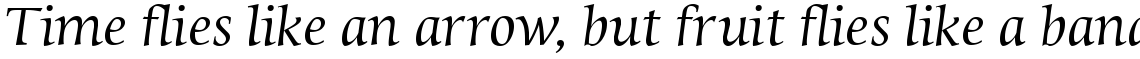 Sierra Com Italic