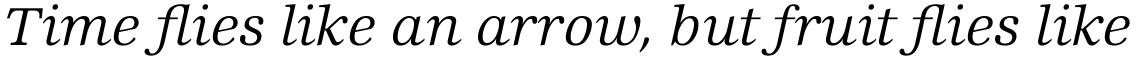 Edison Com Book Italic