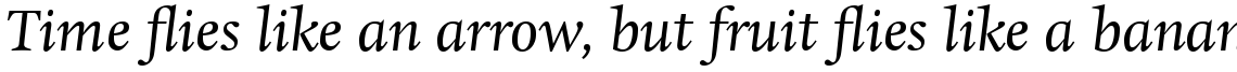 Hollander Com Regular Italic