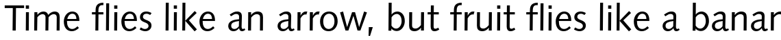 Syntax Pro Roman